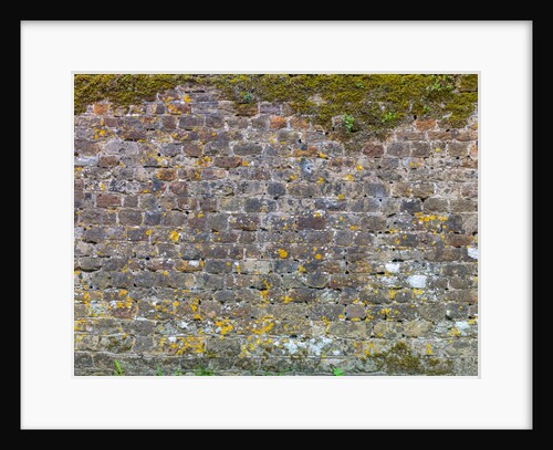 Old stone wall by Assaf Frank